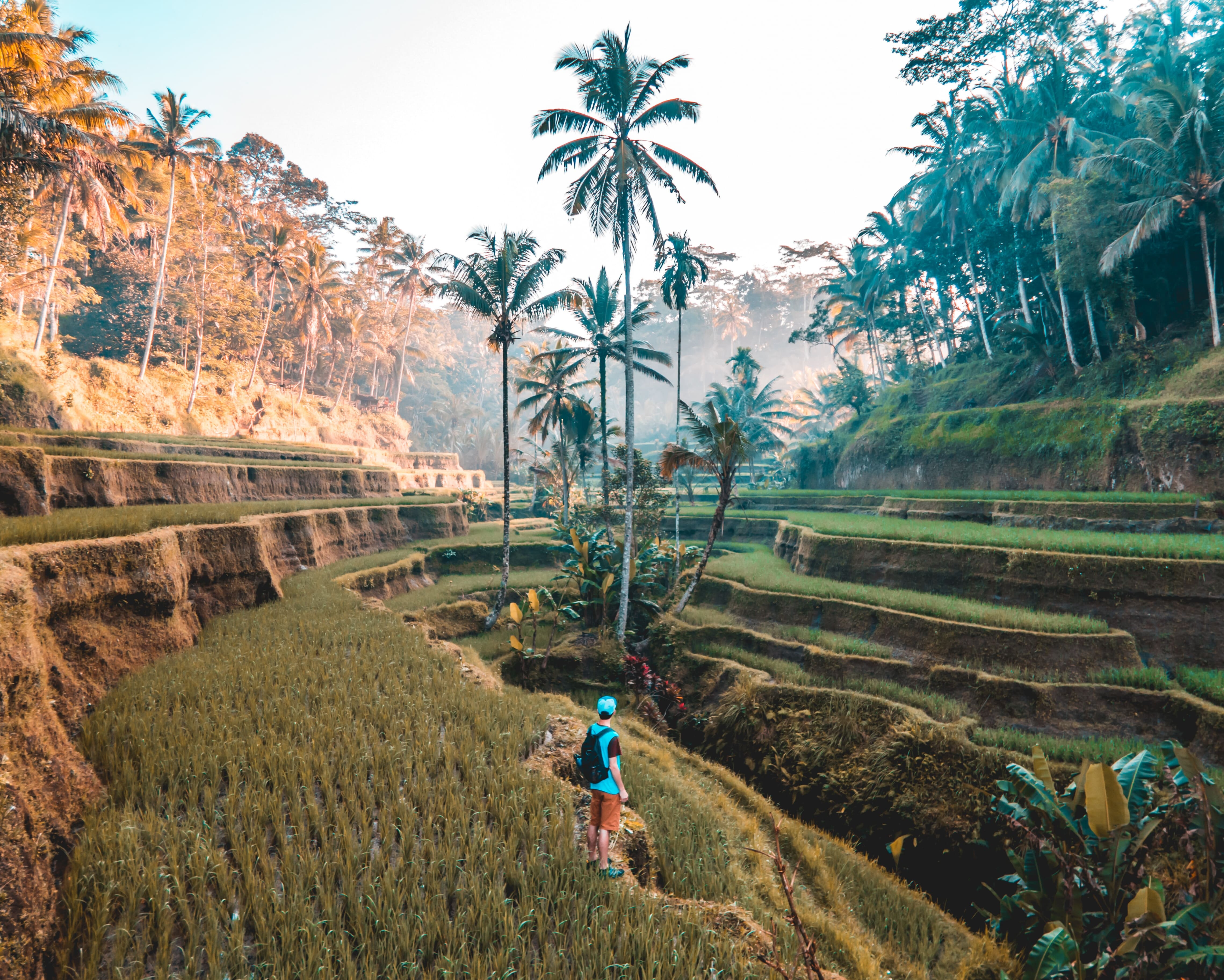 Indonesia mágica (viaje en privado)